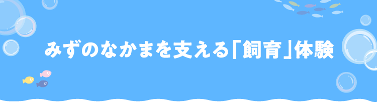みずのなかまを支える「飼育」体験