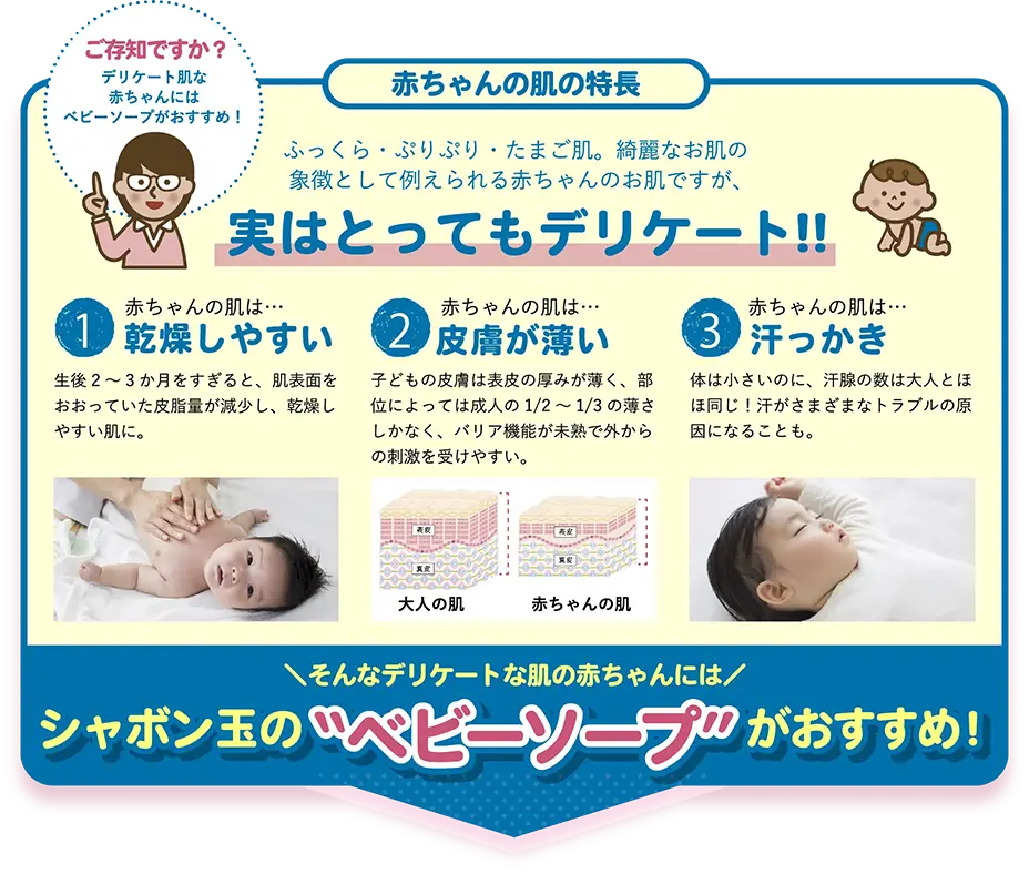ご存知ですか?赤ちゃんのようなデリケートな肌には“ベビーソープ”がおすすめ! 赤ちゃんの肌の特長 ふっくら・ぷりぷり・たまご肌。綺麗なお肌の象徴として例えられる赤ちゃんのお肌ですが、実はとってもデリケート!! 1.赤ちゃんの肌は…乾燥しやすい 生後2~3か月をすぎると、肌表面をおおっていた皮脂量が減少し、乾燥しやすい肌に。 2.赤ちゃんの肌は…皮膚が薄い 子どもの皮膚は表皮の厚みが薄く、部位によっては成人の1/2~1/3の薄さしかなく、バリア機能が未熟で外からの刺激を受けやすい。 3.赤ちゃんの肌は…汗っかき 体は小さいのに、汗腺の数は大人とほほ同じ!汗がさまざまなトラブルの原因になることも。 そんなデリケートな肌の赤ちゃんにはシャボン玉の“ベビーソープ”がおすすめ!
